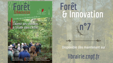Forêt & Innovation n°7 - L'avenir des chênaies à l’étude dans l’Allier