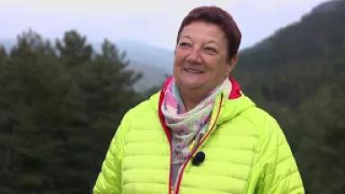 « Tous les petits propriétaires devraient pouvoir se regrouper et entretenir leur forêt »