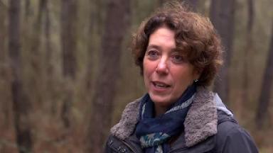 « Je souhaite faire cohabiter une activité de sylviculture et la chasse »