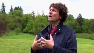 « Une forêt vit quand tout le monde s’en préoccupe »