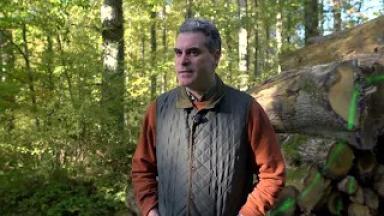 « Les propriétaires forestiers ont à la fois un privilège et une responsabilité »