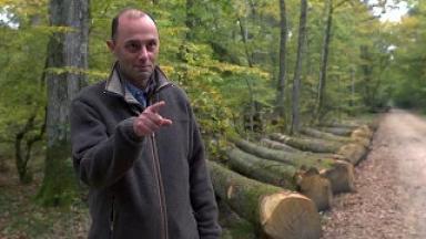 « C’est vraiment gratifiant de s’occuper d’une forêt »