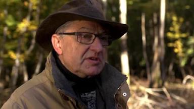 « La formation à la gestion forestière, une démarche écologique et de loisir »