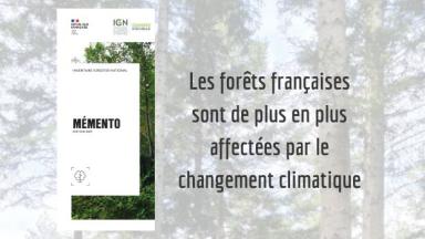 Mémento 2024 de l'inventaire forestier l'IGN