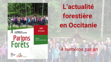 Parlons Forêts en Occitanie n°24