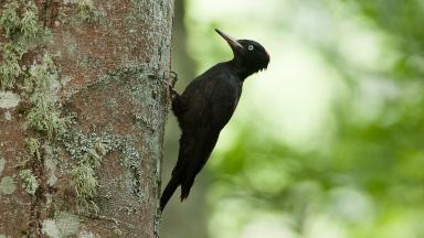 Préserver la biodiversité