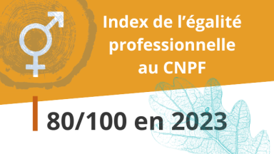 Index de l'égalité professionnelle au CNPF : 80/100 en 2023