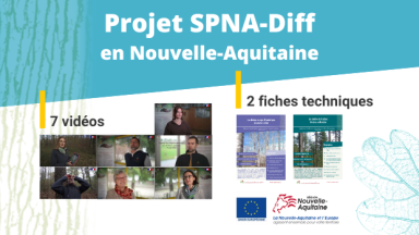 Projet SPNA-Diff : 7 vidéos et 2 fiches techniques