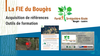Forêt irrégulière école du Bougès en Lozère