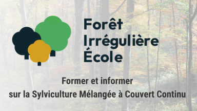 Forêt irrégulière école du Parc national de Forêts 