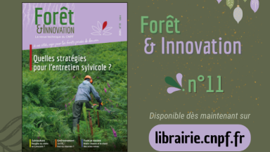 Forêt & Innovation n°11