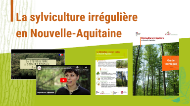 Les actions en Nouvelle-Aquitaine