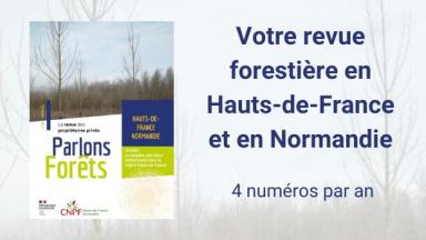 Parlons Forêt en Hauts-de-France - Normandie n°6