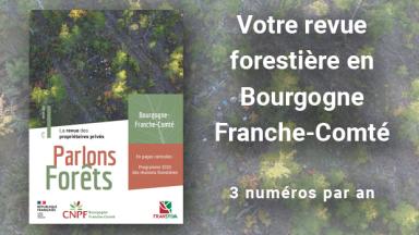 Parlons forêts en Bourgogne-Franche-Comté n°6