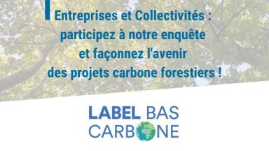 Enquête sur la compensation carbone en France