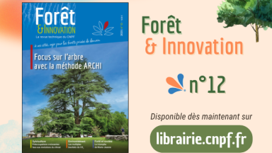 Forêt & Innovation n°12