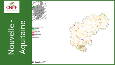 Communauté de Commune Haut Limousin en marche