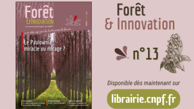 Forêt & Innovation n°13