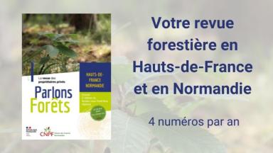 Parlons Forêt en Hauts-de-France - Normandie n°7