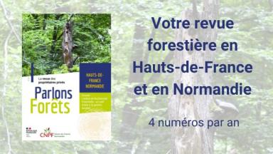 Parlons Forêt en Hauts-de-France - Normandie n°8