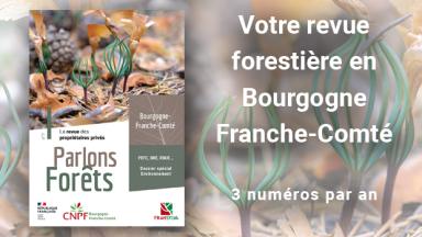 Parlons forêts en Bourgogne-Franche-Comté n°7