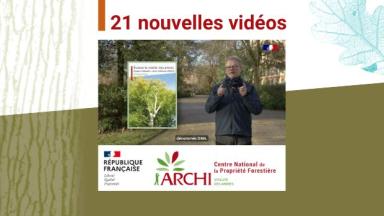 La méthode ARCHI et les Dendro-Marqueurs Architecturaux