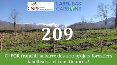 Label Bas Carbone : plus de 200 projets pour le CNPF - C+FOR !