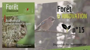 Forêt & Innovation n°15