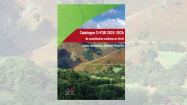 Catalogue C+FOR 2025-2026 de contribution carbone en forêt