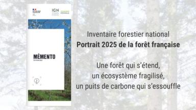 Mémento 2025 de l'inventaire forestier l'IGN