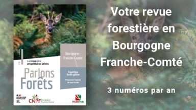 Parlons forêts en Bourgogne-Franche-Comté n°8