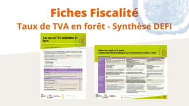 Fiscalité forestière : mise à jour de 2 fiches TVA et DEFI
