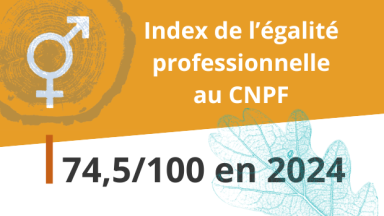 Index de l'égalité professionnelle au CNPF : 74,5/100 en 2024
