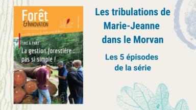 La gestion forestière : pas si simple !