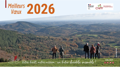 Carte de voeux 2026 - format web 620x430