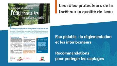 Protéger et valoriser l'eau forestière en quelques conseils