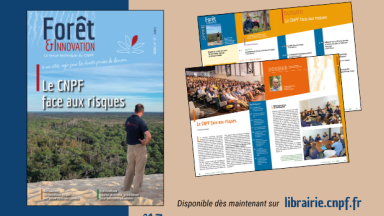 Forêt & Innovation n°17