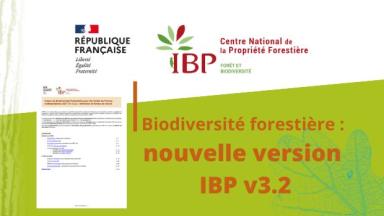 Nouvelle version IBP v3.2