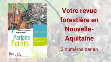 Parlons Forêts en Nouvelle-Aquitaine n°6