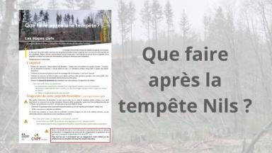 Que faire après la tempête Nils ?