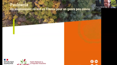 Webinaire Paulownia du 19 mars 2026