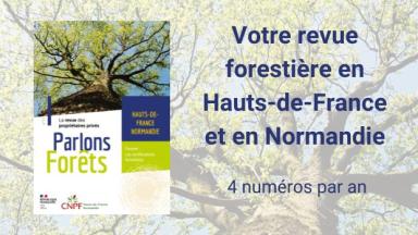 Parlons Forêt en Hauts-de-France - Normandie n°11