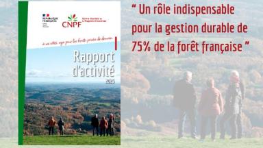 Rapport d'activités 2025 du CNPF