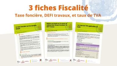 3 fiches sur la fiscalité forestière mises à jour 