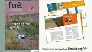 Forêt & Innovation n°19