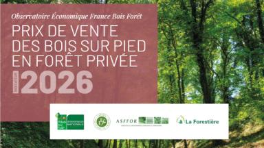 Indicateur 2026 des prix de vente des bois sur pied en forêt privée