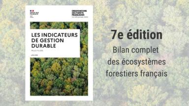 7e édition des indicateurs de gestion durable