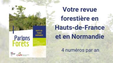 Parlons Forêt en Hauts-de-France - Normandie n°12
