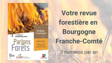 Parlons Forêts en Bourgogne-Franche-Comté n°10
