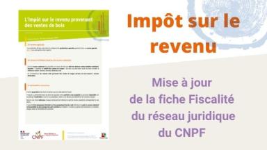 Fiscalité forestière : mise à jour de la fiche sur l'impôt sur le revenu provenant des ventes de bois